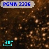 PGMW 2336