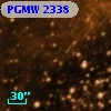PGMW 2338