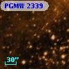 PGMW 2339