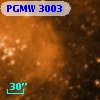 PGMW 3003