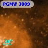 PGMW 3009
