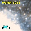 2MASS J04563355-6623284
