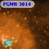 PGMW 3014