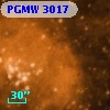 PGMW 3017