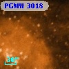PGMW 3018