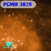 PGMW 3028