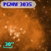 PGMW 3035