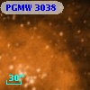 PGMW 3038