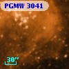 PGMW 3041