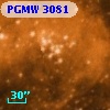 PGMW 3081