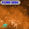 PGMW 3098