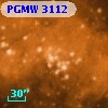 PGMW 3112