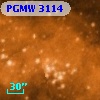 PGMW 3114