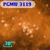 PGMW 3119