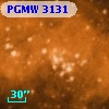 PGMW 3131