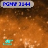 PGMW 3144