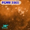 PGMW 3161