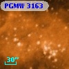 PGMW 3163