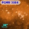 PGMW 3164