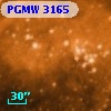 PGMW 3165
