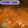 PGMW 3166