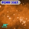 PGMW 3167