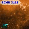 PGMW 3169