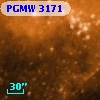PGMW 3171