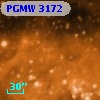 PGMW 3172