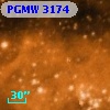 PGMW 3174