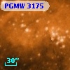 PGMW 3175