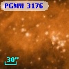 PGMW 3176