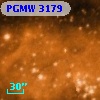 PGMW 3179