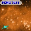PGMW 3181