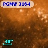 PGMW 3184