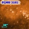 PGMW 3185