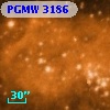 PGMW 3186