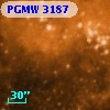 PGMW 3187