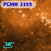 PGMW 3189