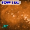 PGMW 3191