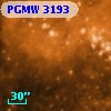 PGMW 3193