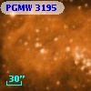 PGMW 3195