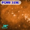 PGMW 3196