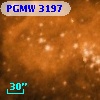 PGMW 3197