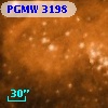 PGMW 3198