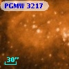 PGMW 3217