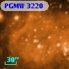 PGMW 3220