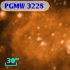 PGMW 3228