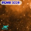 PGMW 3229