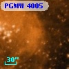 PGMW 4005